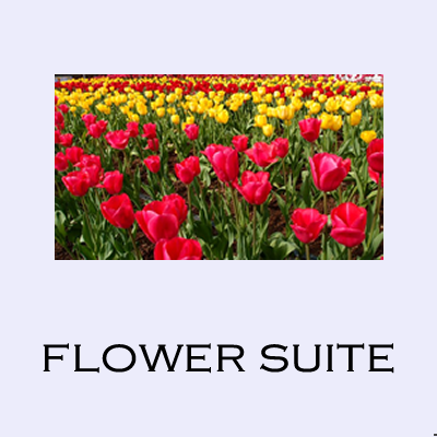 Flower Suite