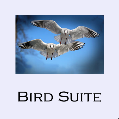 The Bird Suite